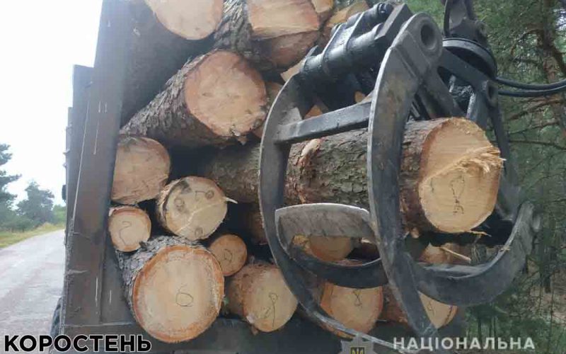 В Овруцькому районі поліцейські зупинили Камаз, водій перевозив деревину без документів