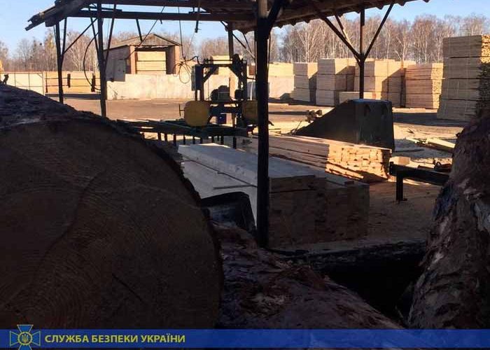 Житель Коростеня та іноземець перенаправили до Східної Азії деревини на мільйони гривень ?ФОТО