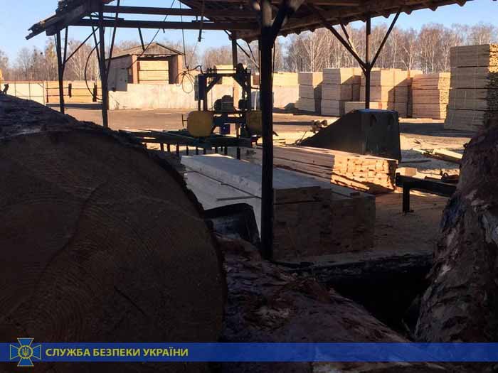 Житель Коростеня та іноземець перенаправили до Східної Азії деревини на мільйони гривень ?ФОТО