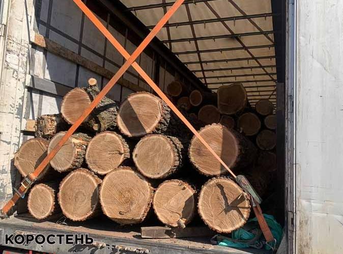 “Бізнес” працює: правоохоронці затримали жителя Коростенського району, який перевозив дубові колоди без документів
