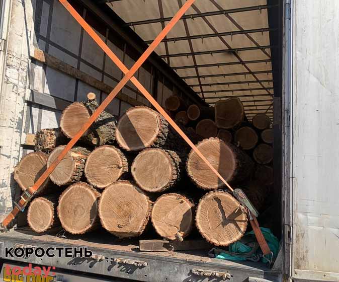 “Бізнес” працює: правоохоронці затримали жителя Коростенського району, який перевозив дубові колоди без документів