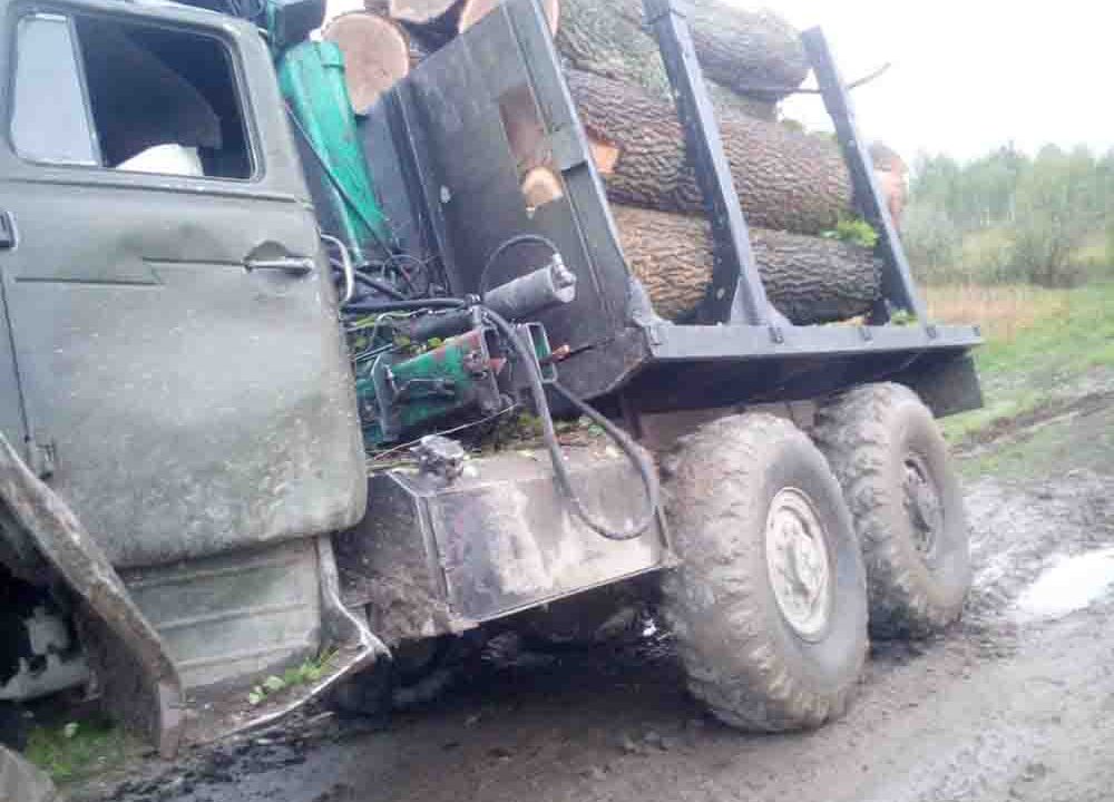 В Коростенському районі лісова охорона Лугинського лісгоспу спільно з поліцією зупинили вантажівку з краденим лісом