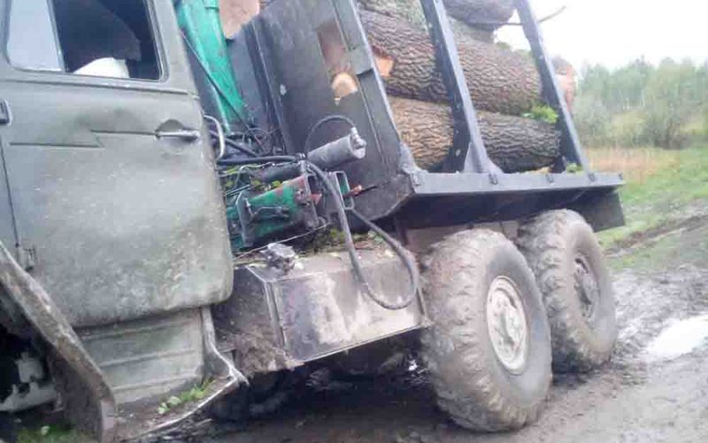 В Коростенському районі лісова охорона Лугинського лісгоспу спільно з поліцією зупинили вантажівку з краденим лісом