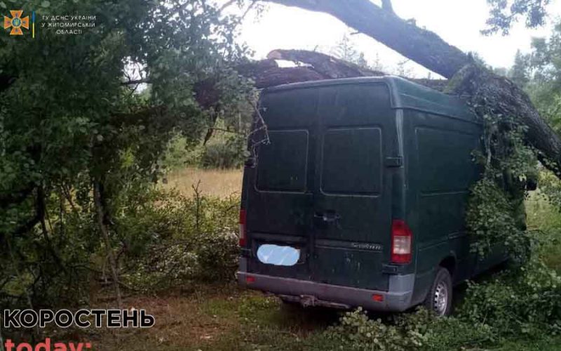 У Лугинах дерево впало на мікроавтобус