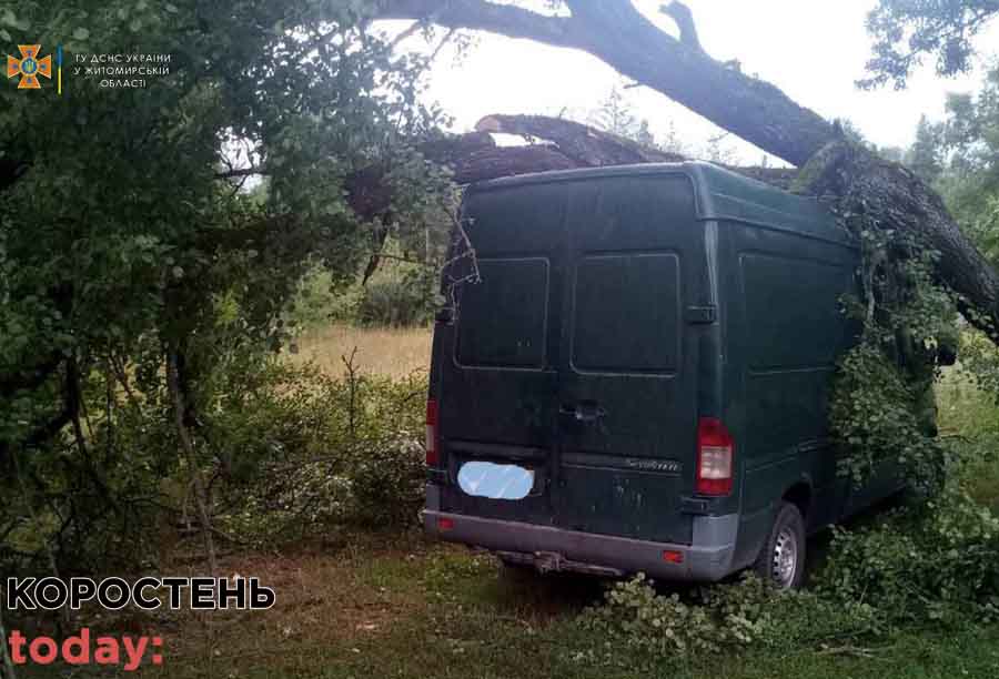 У Лугинах дерево впало на мікроавтобус