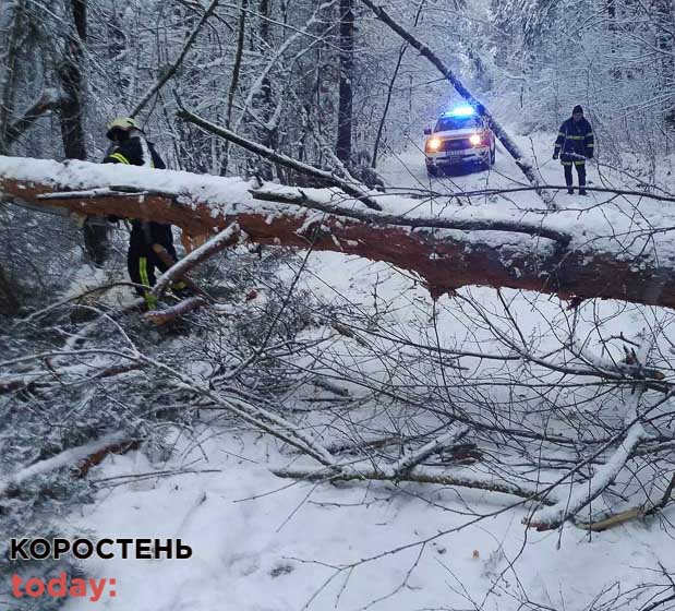 У селі Малинської громади рятувальники витягнули зі снігового замету автобус з пасажирами