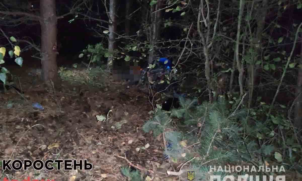 В Коростенському районі мопед влетів в дерево: 17-річний водій в лікарні, 22-річний пасажир загинув