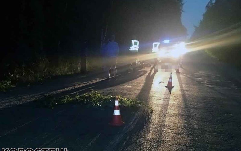 Поблизу одного з сіл Коростенського району мотоцикл врізався в дерево: водій загинув