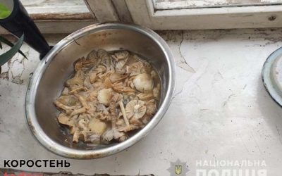 Сусіди та дідусь, за яким доглядала загибла матір учасника “Голосу країни”, розповіли про гриби й останні хвилини життя родини