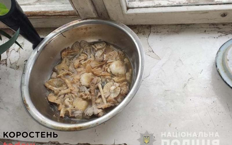 Сусіди та дідусь, за яким доглядала загибла матір учасника “Голосу країни”, розповіли про гриби й останні хвилини життя родини