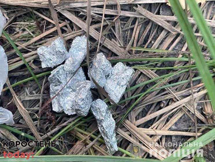 У Коростені затримали чоловіка, який намагався перекинути на територію тюрми пакунок з наркотиками (ФОТО)