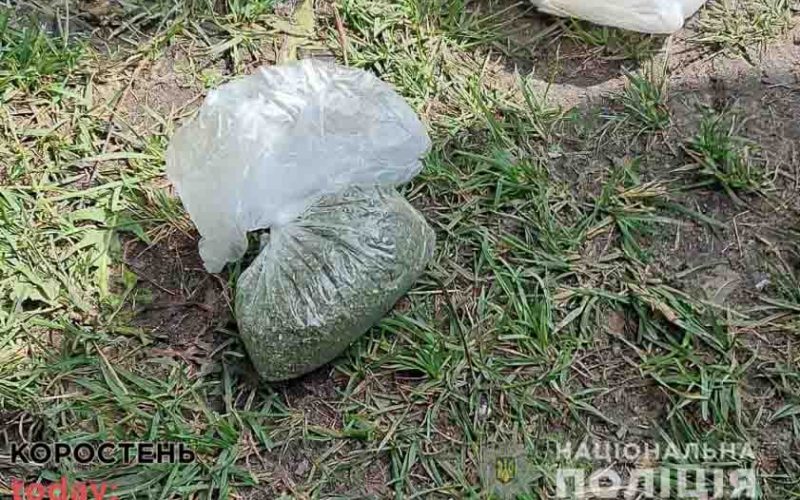 Поліцейські викрили жителя Овруцької громади, який отримав поштою пакунок з коноплею