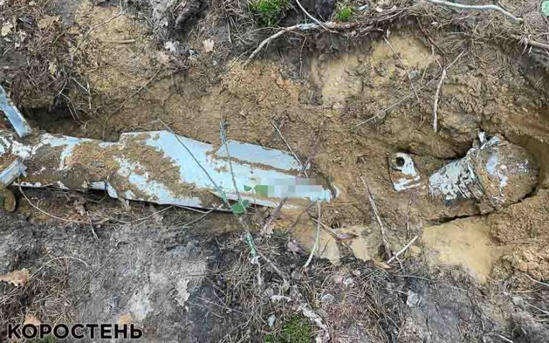 Між селами Коростенського району працівник лісгоспу виявив ракету (ФОТО)