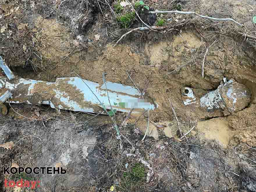 Між селами Коростенського району працівник лісгоспу виявив ракету (ФОТО)