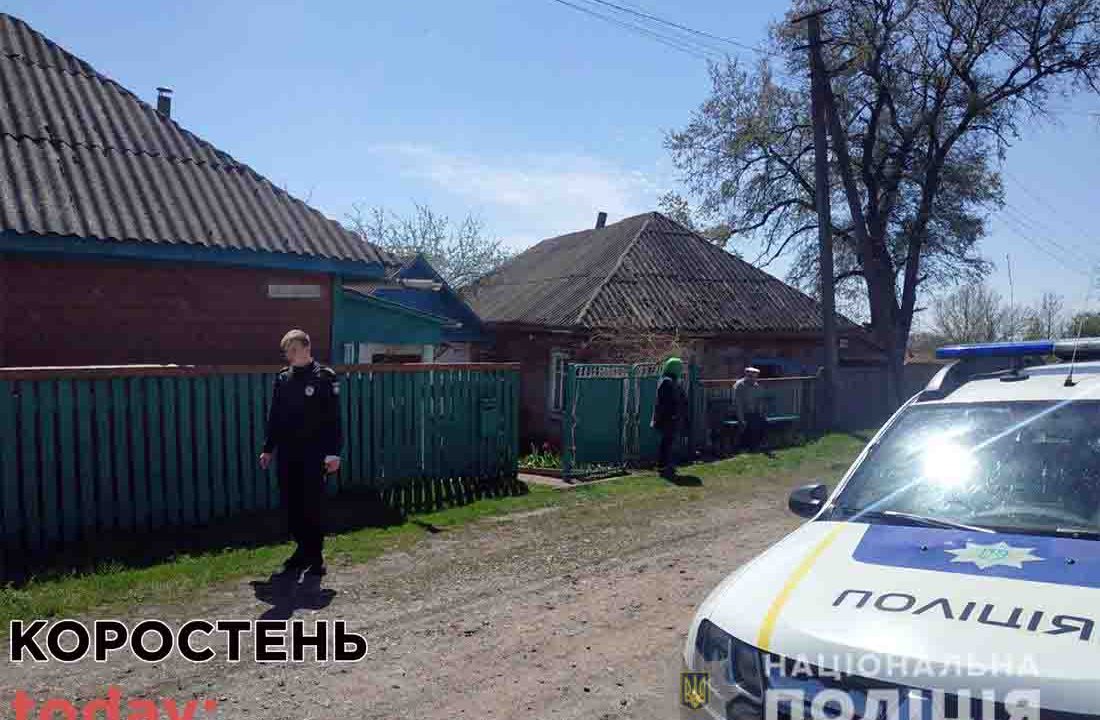 У Народичах коростенка винесла з оселі 81-річної бабусі клунки з мороженим м’ясом ?ФОТО