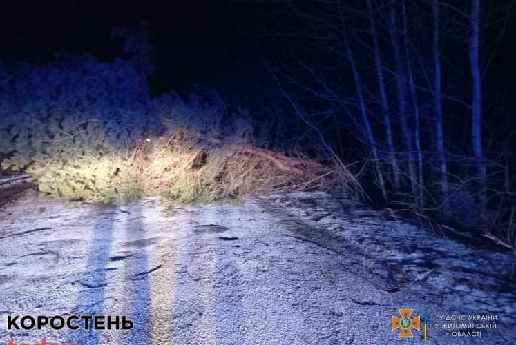 Наслідки негоди на Коростенщині: повалені дерева та обвалена конструкція з даху будинку ?ФОТО