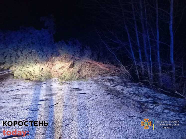 Наслідки негоди на Коростенщині: повалені дерева та обвалена конструкція з даху будинку ?ФОТО
