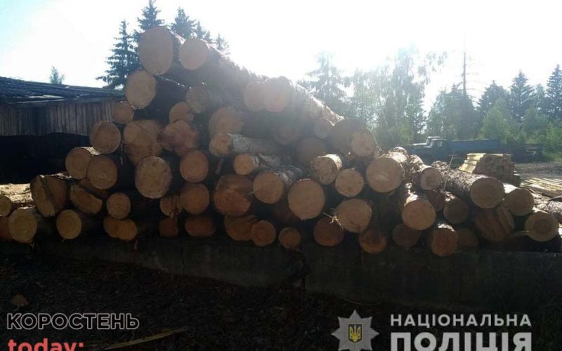 Коростенські поліцейські на одній з пилорам виявили деревину, документів на яку власник не мав ?ФОТО