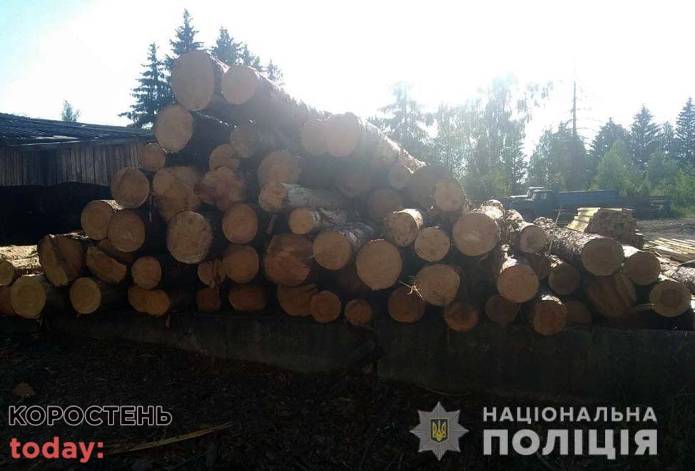 Коростенські поліцейські на одній з пилорам виявили деревину, документів на яку власник не мав ?ФОТО