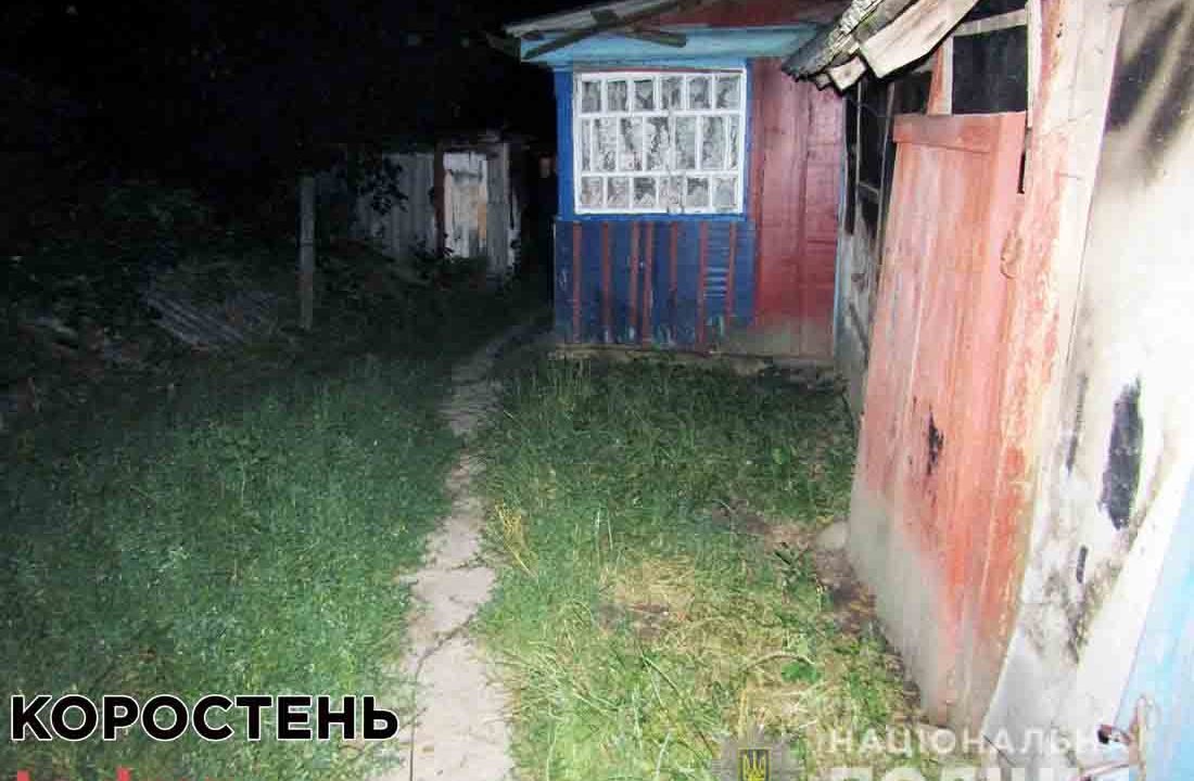 У Коростенському районі сестра встромила ножа в спину старшому брату