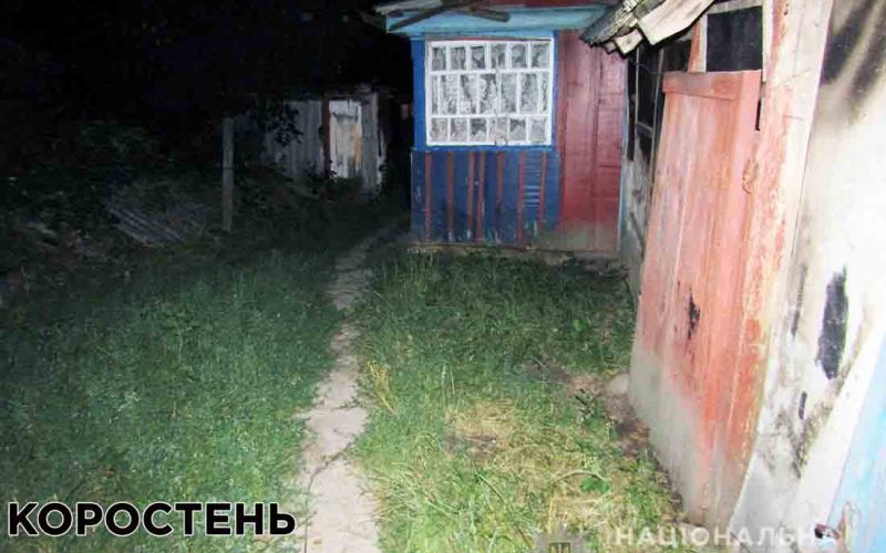 У Коростенському районі сестра встромила ножа в спину старшому брату