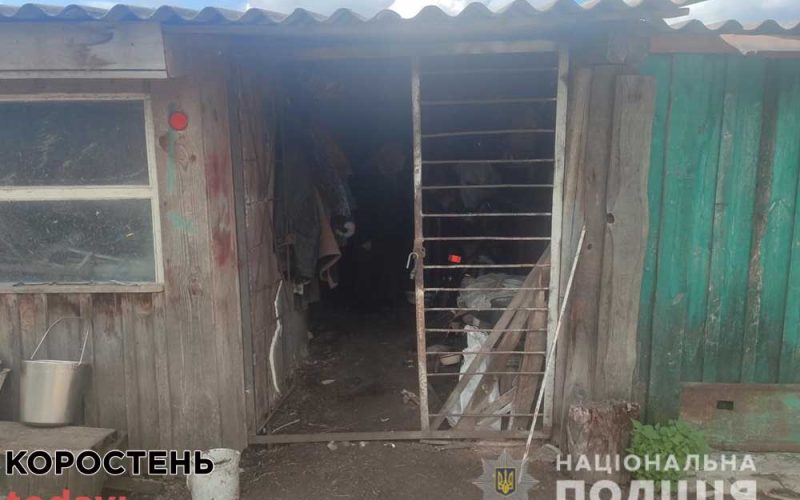 В одному з сіл Коростенського району 33-річний чоловік обікрав п’ять обійсть