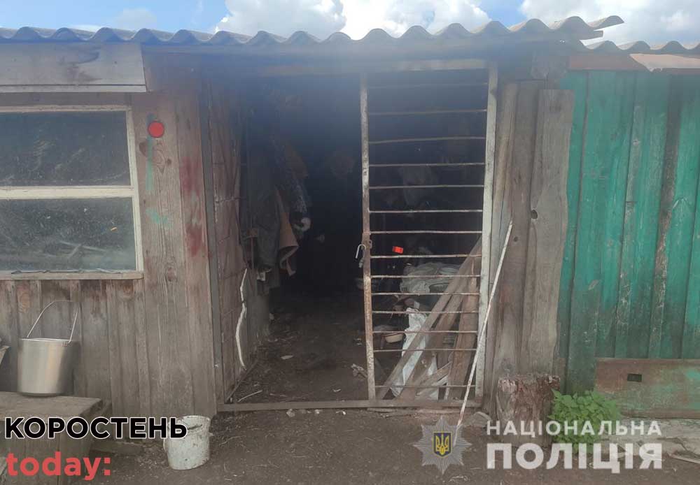 В одному з сіл Коростенського району 33-річний чоловік обікрав п’ять обійсть