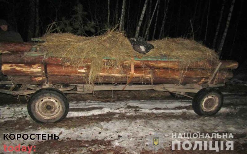 У селі Олевської громади поліцейські затримали трактор з причепом, в якому знаходилась деревина ?ФОТО