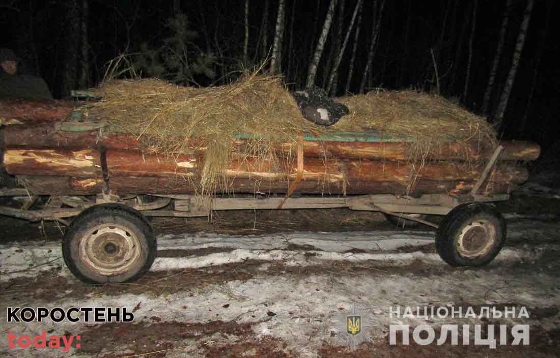 У селі Олевської громади поліцейські затримали трактор з причепом, в якому знаходилась деревина ?ФОТО