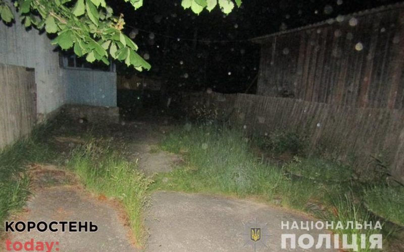 Братовбивство на Олевщині: старший брат зарізав молодшого