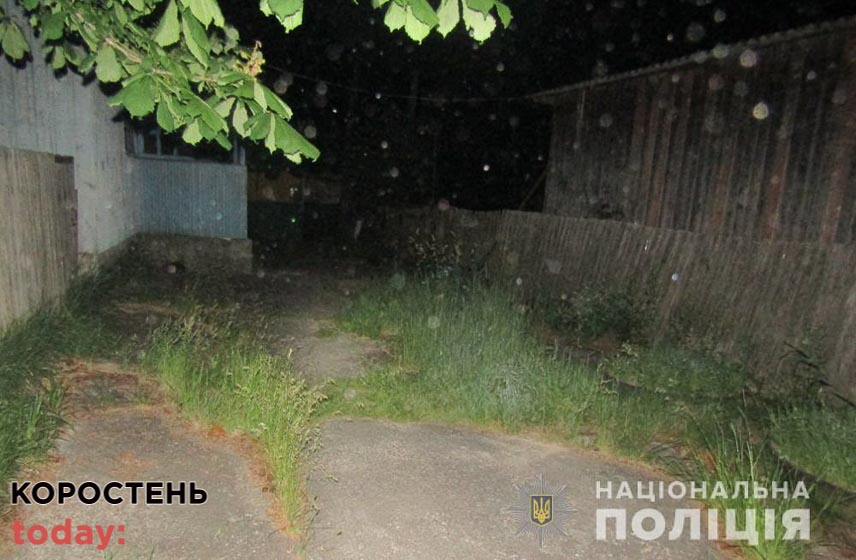 Братовбивство на Олевщині: старший брат зарізав молодшого