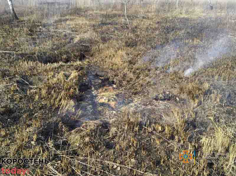 На території Олевської громади рятувальники гасили займання торфу