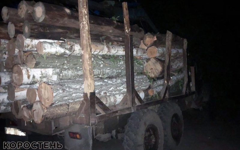 В Олевську поліцейські зупинили ЗІЛ із березовими та сосновими колодами: на деревину документів не було