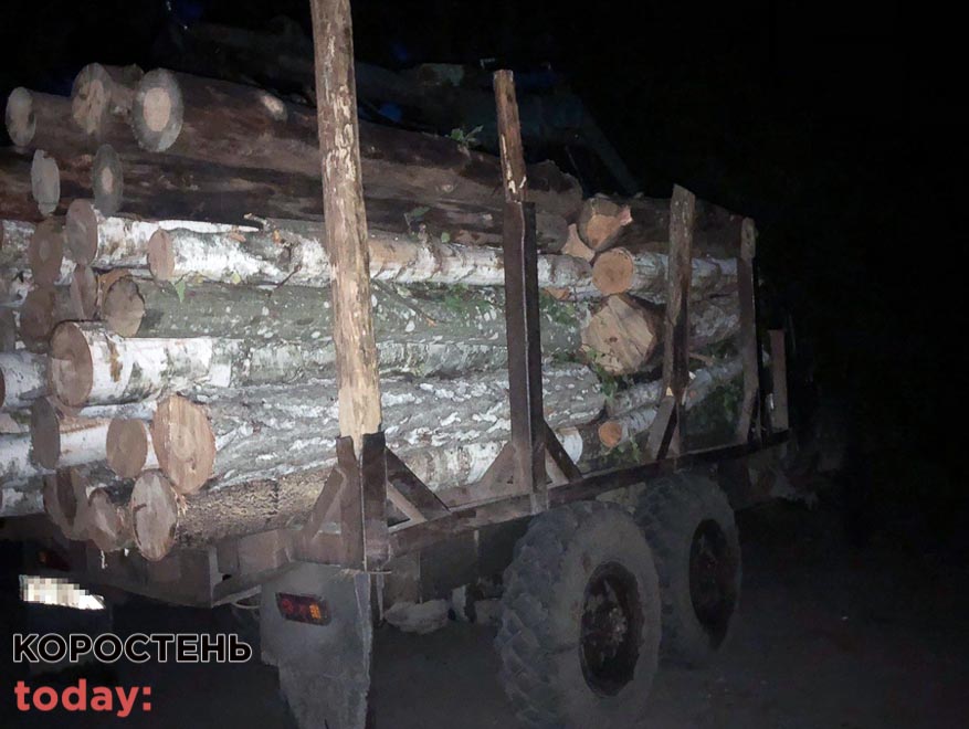 В Олевську поліцейські зупинили ЗІЛ із березовими та сосновими колодами: на деревину документів не було