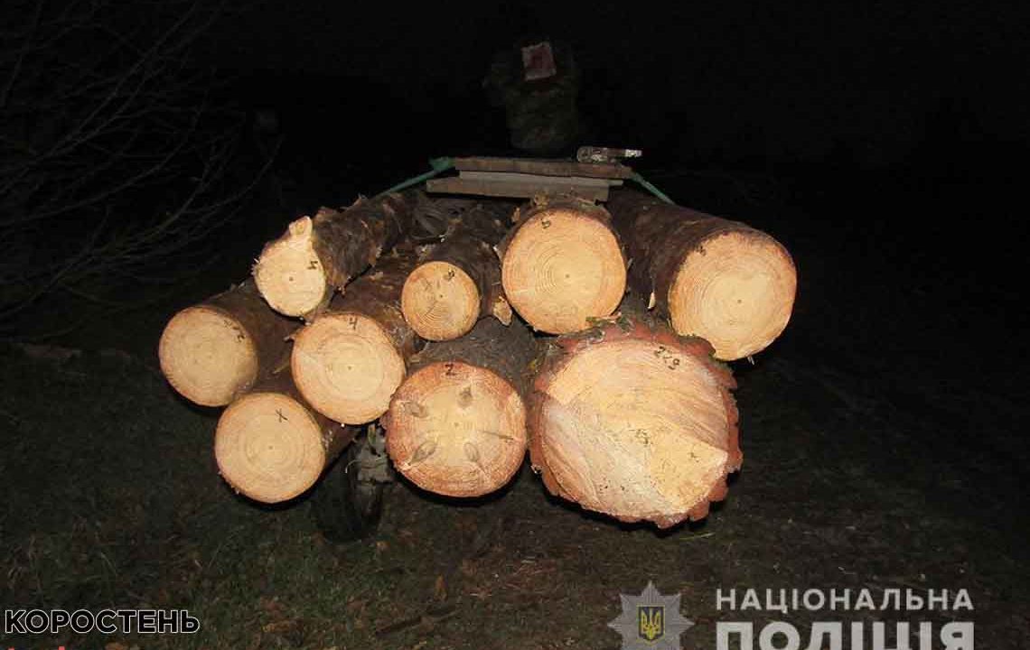 На Олевщині крадуть ліс: упродовж доби виявили два факти незаконних оборудок з лісом ?ФОТО