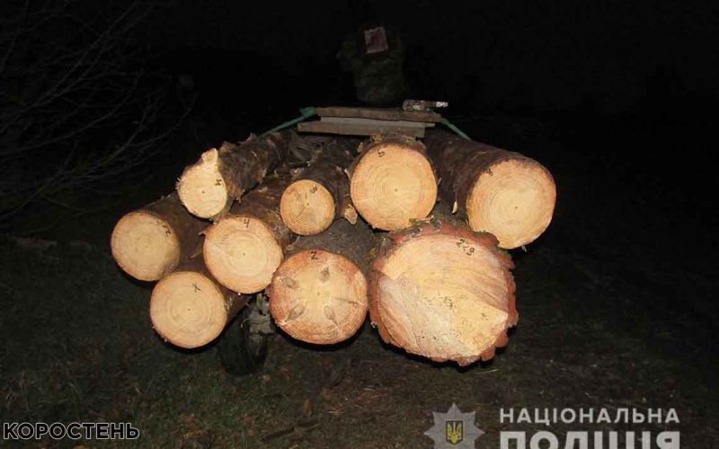 На Олевщині крадуть ліс: упродовж доби виявили два факти незаконних оборудок з лісом ?ФОТО