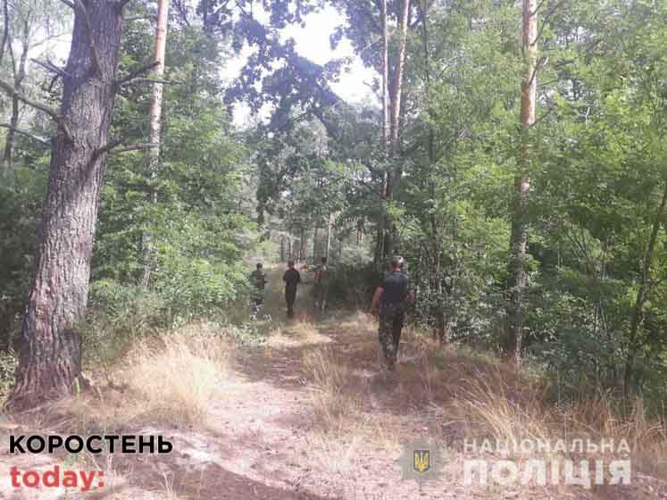 На Олевщині розшукують пенсіонерку, яка декілька днів тому пішла до лісу та додому не повернулась ?ФОТО