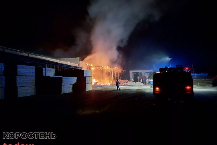 В Овручі сталася пожежа на підприємстві по виробництву дерев’яної щепи (ФОТО)