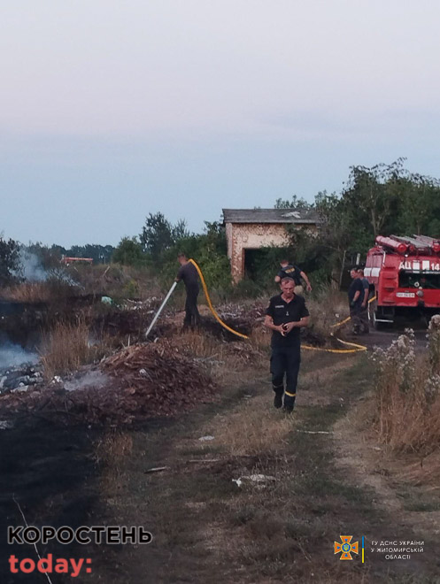 Поблизу одного з сіл Овруцької громади горіла суха трава: вогонь підбирався до лісу та будинків