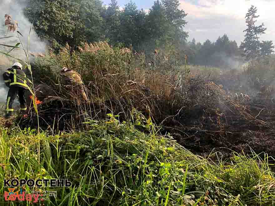 У селі Овруцької громади через спеку та сильний вітер горіла трава на площі 4 га