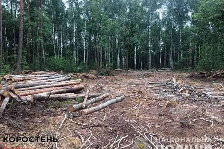 Овруцькі поліцейські затримали вантажівку з викраденою деревиною ?ФОТО