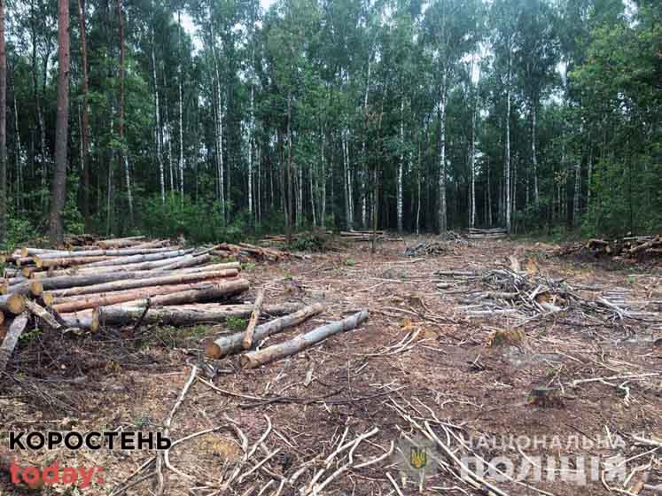 Овруцькі поліцейські затримали вантажівку з викраденою деревиною ?ФОТО