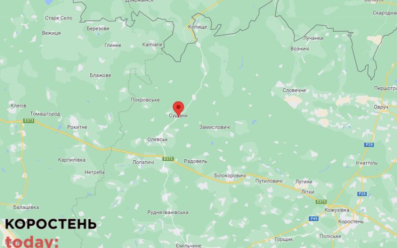 Поблизу одного з сіл в Олевській громаді на міні підірвались чоловік з дружиною: у подружжя залишилось 8 дітей