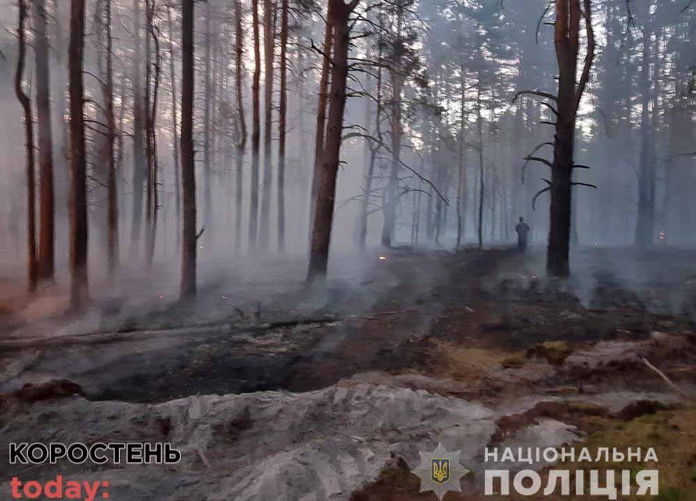 У поліції розповіли подробиці підриву автомобіля лісової охорони в результаті наїзду на міну на території Народицької громади