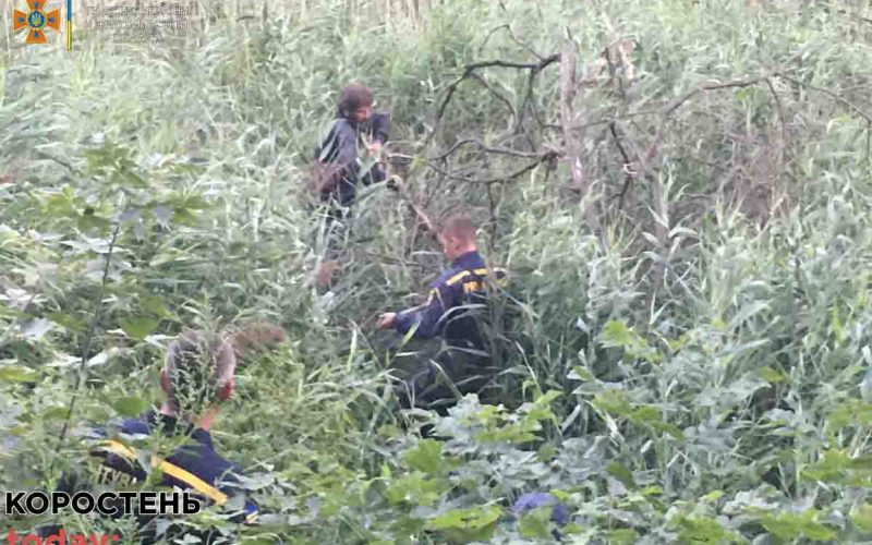 У Малині врятували чоловіка, якого по пояс засмоктало в болото ?ФОТО