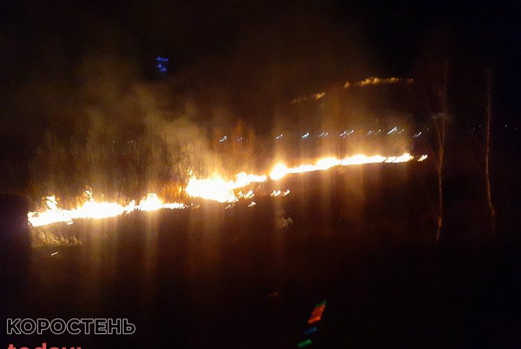 На околиці Коростеня біля заправки горіла суха трава
