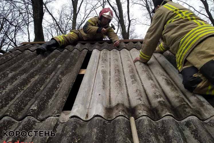 Ракетним ударом в Коростені пошкоджено 7 дачних житлових будинків (ФОТО)