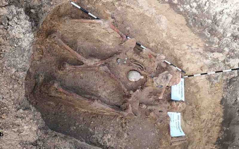 У Коростенському районі пошуківці знайшли рештки двох солдатів ?ФОТО
