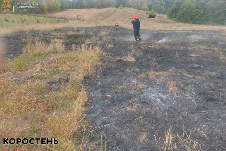 У селі Коростенського району на землю впали дроти лінії електропередач, після чого зайнялась суха трава ?ФОТО