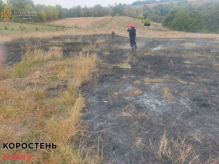У селі Коростенського району на землю впали дроти лінії електропередач, після чого зайнялась суха трава ?ФОТО